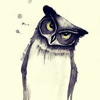 Костя Минин