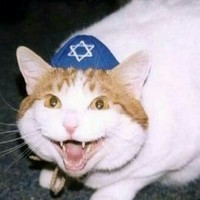thatfuckingfagcatV2