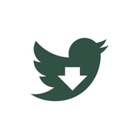 SSSTWTwitter Video Downloader 