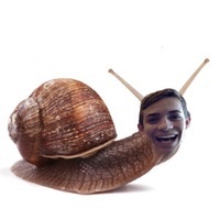 Delthesnail