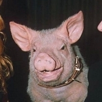 Igor  Starostin