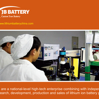prosandconsoflithiumlonbatteries