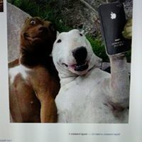 Аааааа Аааааа