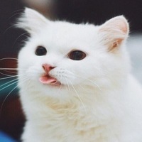 Кирилл Малеев