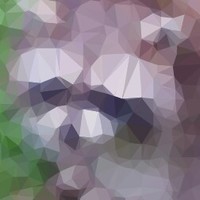 EmeralX
