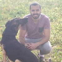 The World Is Beautiful