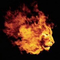 Hot