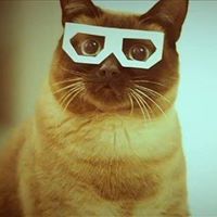 Micle_CB