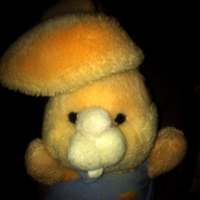 carrotkid 