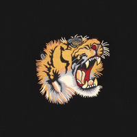 contraband