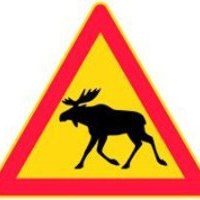 Moose