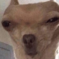 Memes
