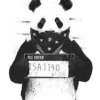 papa panda