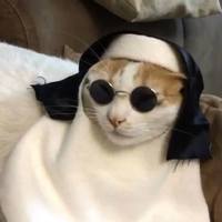 RVIDYSHY