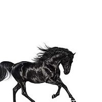 old town road