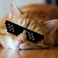 Кот Котейный