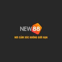 Online New88