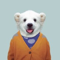 Миша Кузьмич