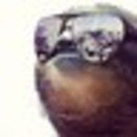 Alex Valencia