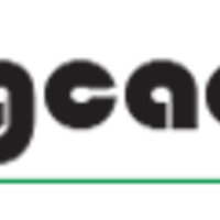 trangcadobongda