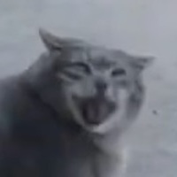 Foxmonster
