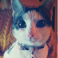 Kapucni 