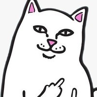 "Catz"