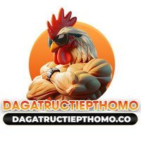 Đá Gà Trực Tiếp THOMO