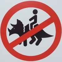 Triceratops Nikodim