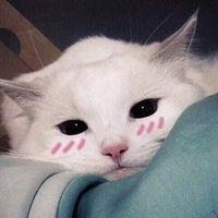Sweet dreams