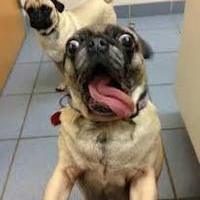 DailyDoseForSmile