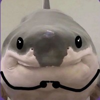 Random Videos_ir