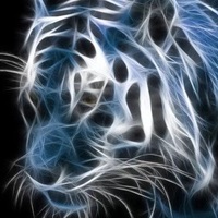 SpectralTiger