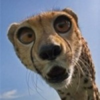 DanKam
