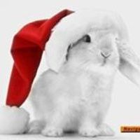 Антон Желонкин