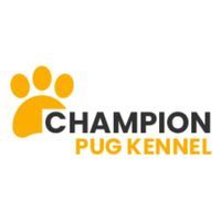 Champion Pug Kennels