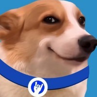 COUB DOGE