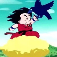 Flying_Nimbusile