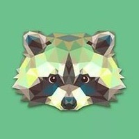 RaccoonEngineer 