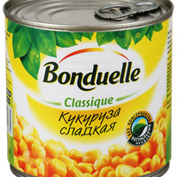 Korgi_Shuvalova