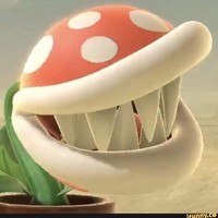 bobthefrog