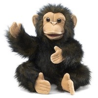 Chimpson Evergreen