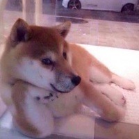 Maxizee