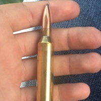 Brownf_2