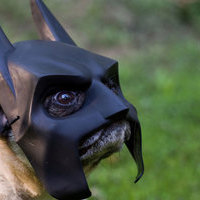 Max Stark