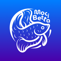 Moci Betta | Betta Fish Video