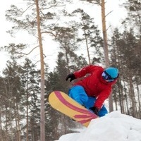 Роман Бердников