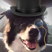 🐾 LUV ANIMALS 🐾