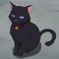 DarknessCat