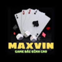 MAXVIN